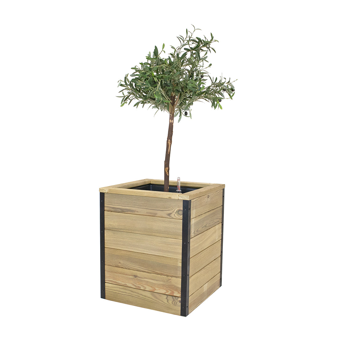 Con Perfil Esquinero