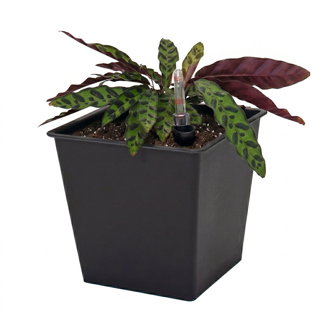 Maceta de autorriego Nidum 16 L 26×26×24 cm