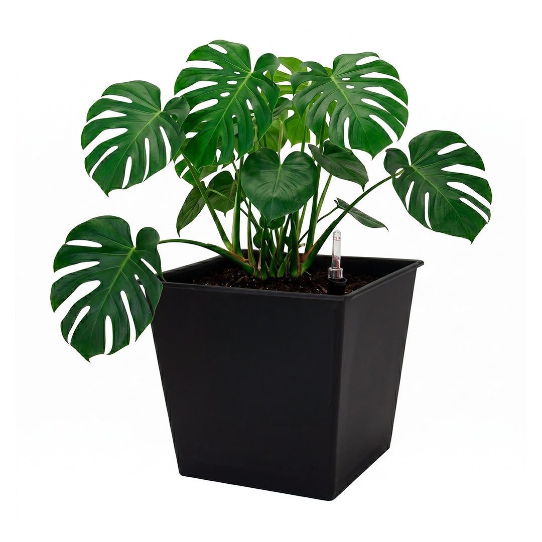 Maceta de autorriego Nidum 67 L 42×42×38 cm