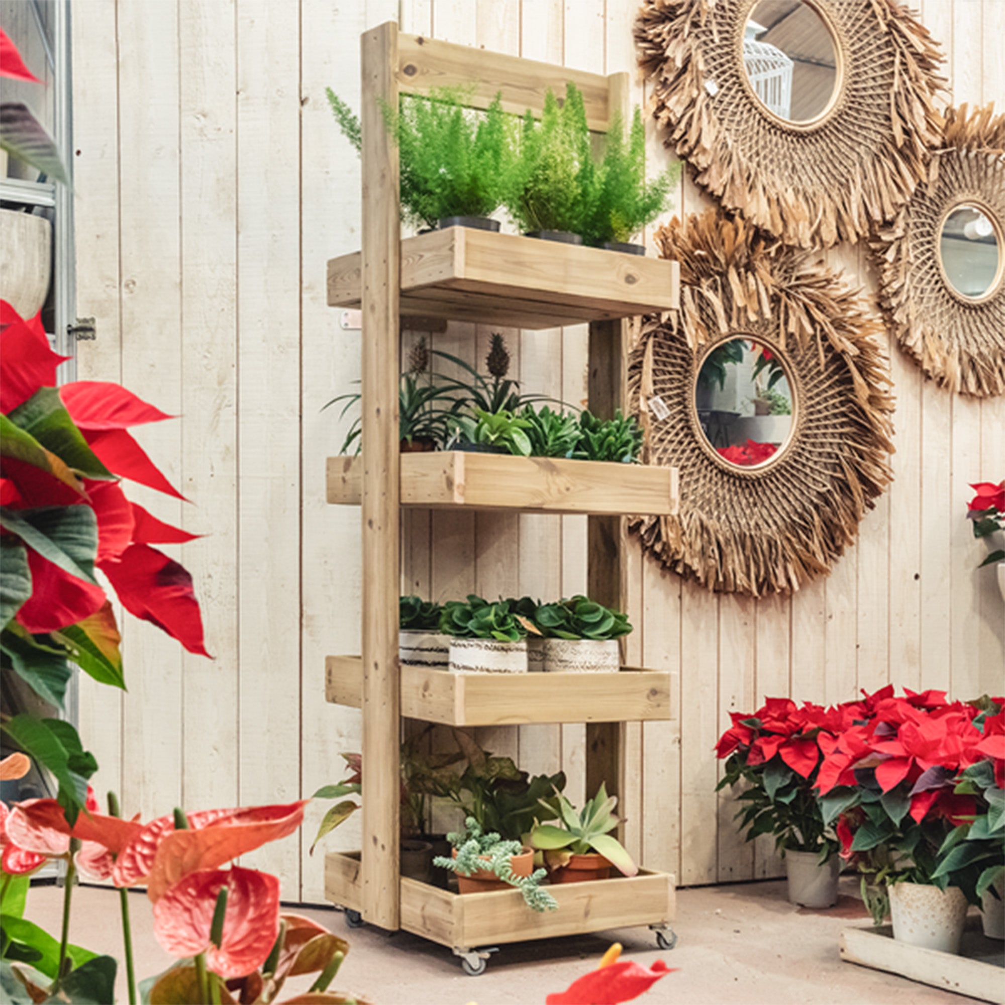 Estantería de madera Casius, ideal para exhibir y organizar productos en espacios comerciales o domésticos.