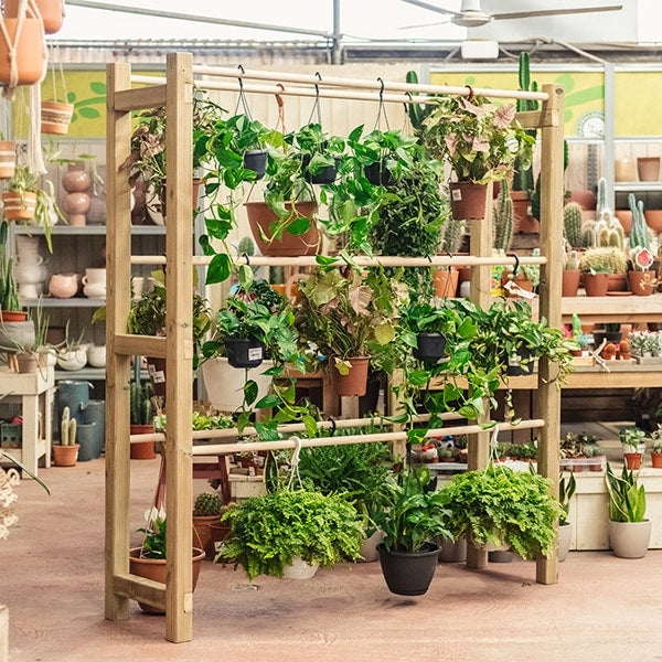 Expositor de plantas Coglantes Pothus, diseñado para mostrar y organizar plantas de manera eficiente.