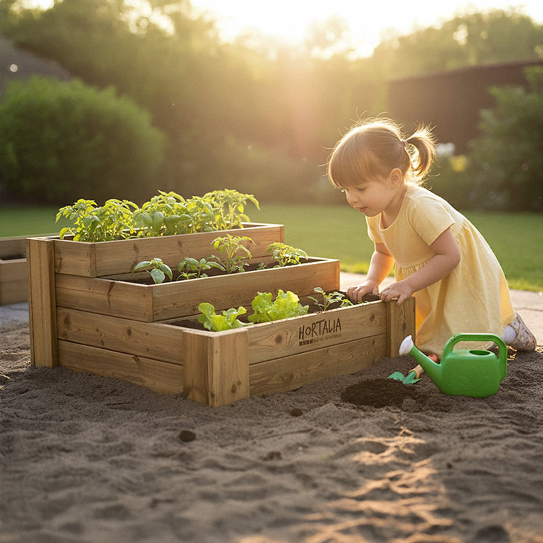 Cajón de cultivo Box Stairs 80