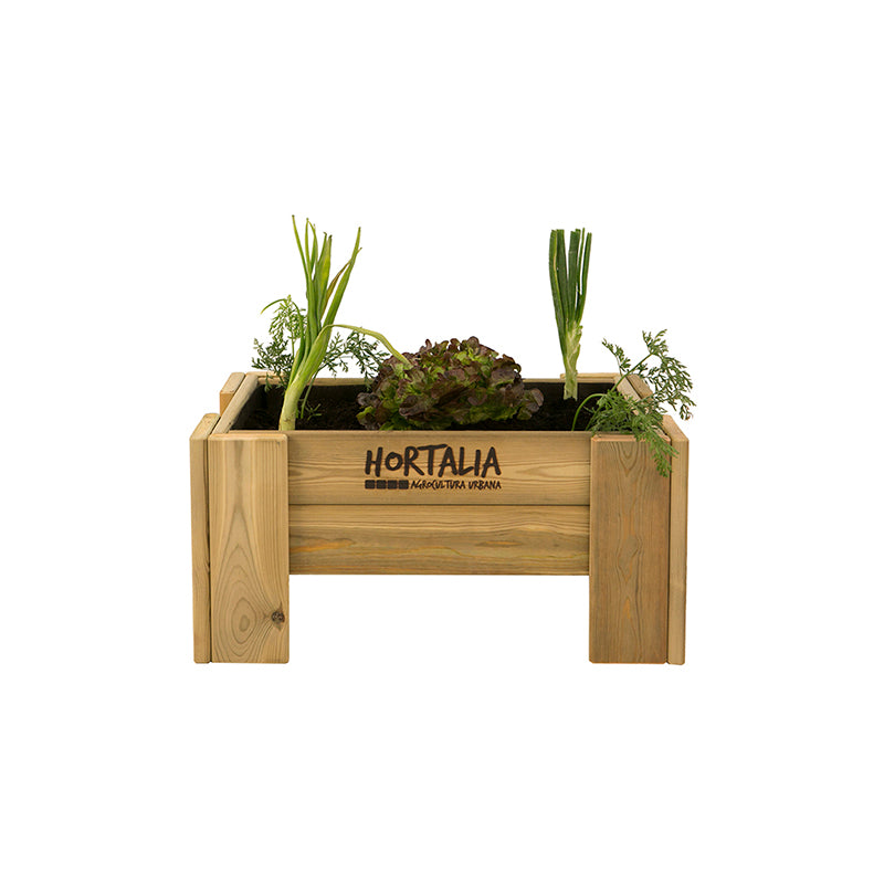 Mesa de cultivo Maceto Wood, ideal para huertos urbanos, con dimensiones de 60 cm de longitud y 35 cm de ancho.