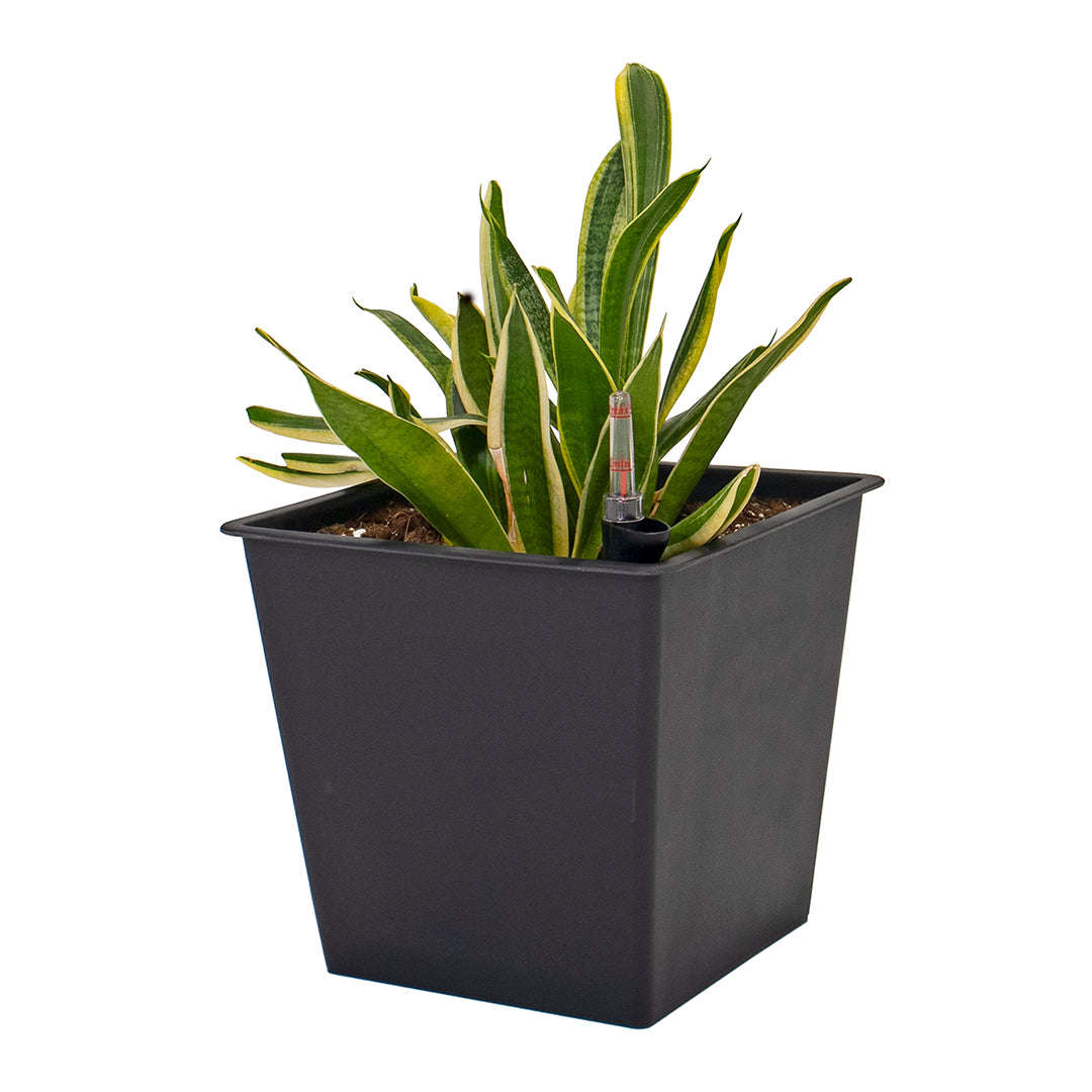 Maceta de autorriego Nidum 36 L 34×34×31 cm