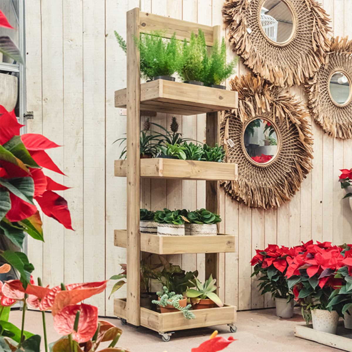 Estantería de madera Casius, ideal para exhibir y organizar productos en espacios comerciales o domésticos.