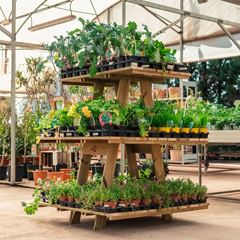 Estantería de madera Grow, diseñada para exhibir y organizar productos de manera eficiente.