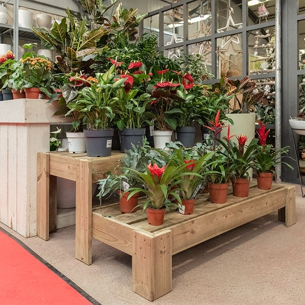 Expositor de madera Podium para exhibir productos de manera ordenada y atractiva.