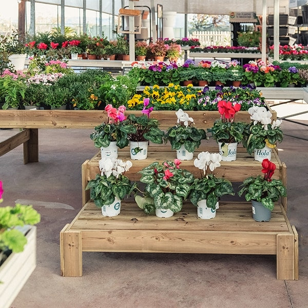 Expositor de madera Blossom con podium, diseñado para mostrar productos de manera organizada y atractiva.