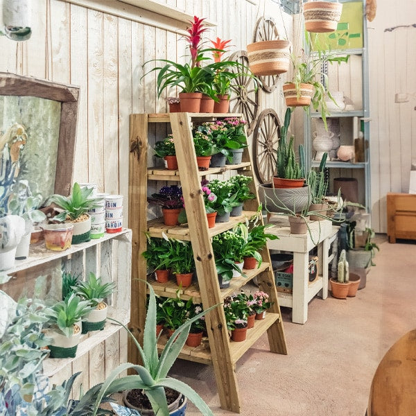 Estantería de madera Marion, ideal para exhibir y organizar productos en espacios comerciales o en el hogar.