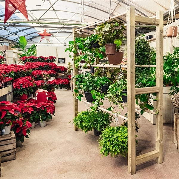 Expositor de plantas Coglantes Pothus, diseñado para mostrar y organizar plantas de manera elegante y funcional.