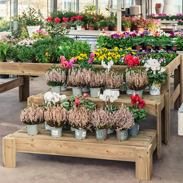 Expositor de madera Blossom con podium, diseñado para exhibir productos de manera ordenada y atractiva.