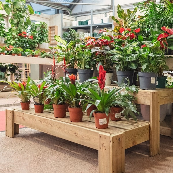 Expositor de madera Podium para exhibir productos de manera organizada y atractiva en espacios comerciales.