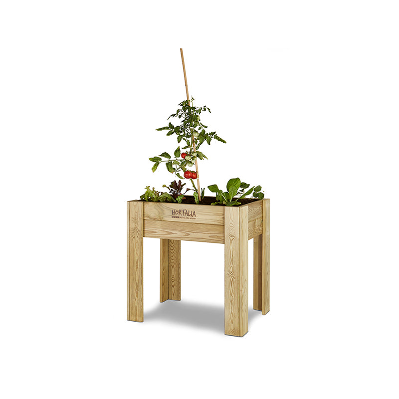 Mesa de cultivo Gardenbrico M80, ideal para huertos urbanos y jardinería, con dimensiones de 80 cm de longitud y 60 cm de