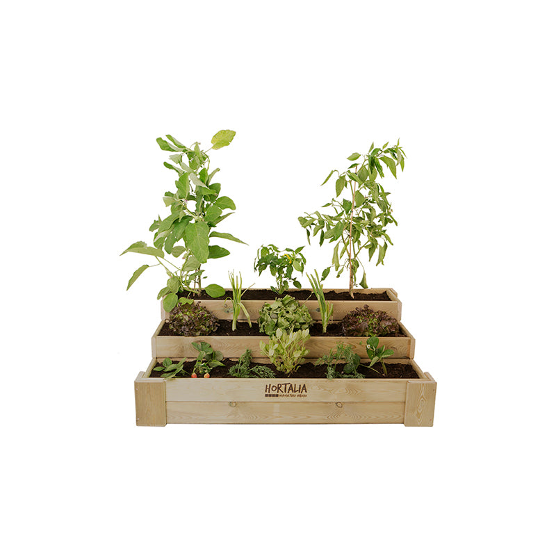 Cajón de cultivo Box Stairs 120, ideal para huertos urbanos, con capacidad de 210 L y dimensiones de 120x80x40 cm.