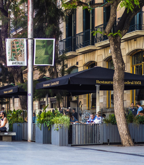 Catedral 1951, Barcelona